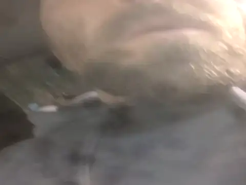 Snapshot of jwiththethickone413 chatting on 11/17/25, 05:52 jwiththethickone413 online show from 11/17/25, 05:52