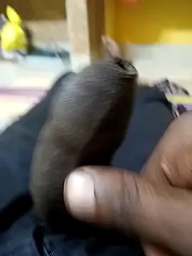 Snapshot of Tamil_boy_age28 chatting on 12/20/25, 03:35 Tamil boy age28 online show from 12/20/25, 03:35