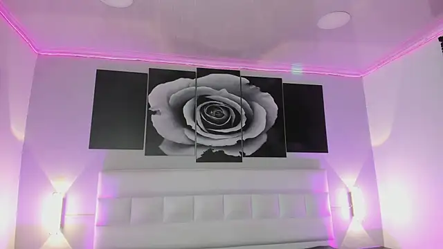 sofi bakerr online show from 11/14/25, 11:42