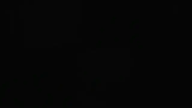 guy master online show from 12/07/24, 02:09