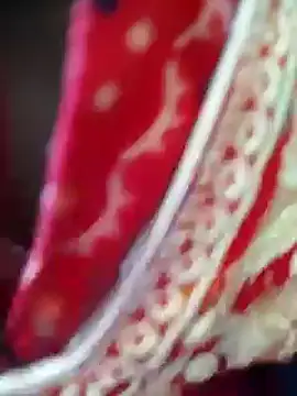 Snapshot of Bengoli--bhabhi chatting on 02/22/25, 04:18 Bengoli--bhabhi online show from 02/22/25, 04:18