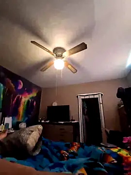 nuttinbuttcock69 online show from 05/08/26, 04:45