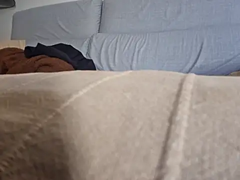 PeDrO2024 25 online show from 02/26/26, 11:53