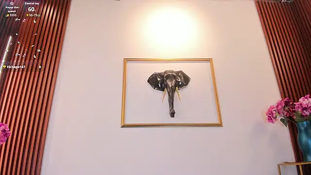 Zayda 1 online show from 02/11/26, 08:14