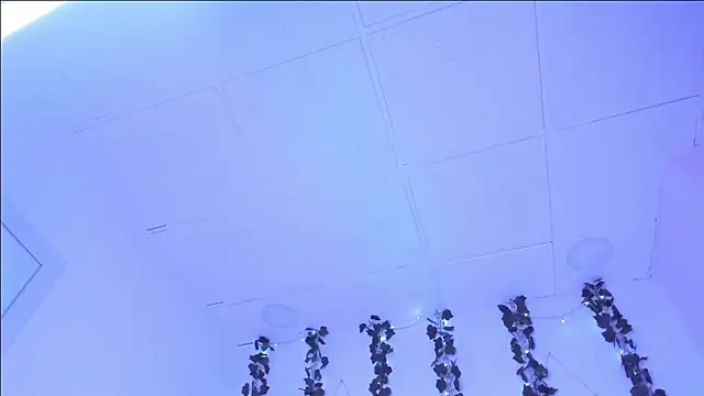 SophieHill gh online show from 01/16/25, 01:27