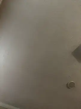 velvetta  online show from 12/18/25, 01:06