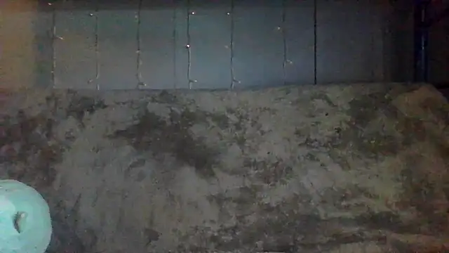 velvetta  online show from 04/09/26, 06:24