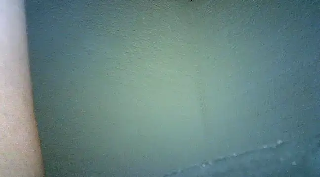 Bellabeltrann online show from 01/25/25, 09:47