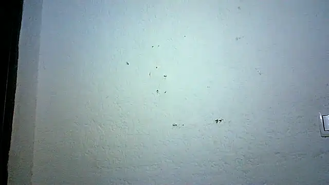 Bellabeltrann online show from 10/03/25, 09:12