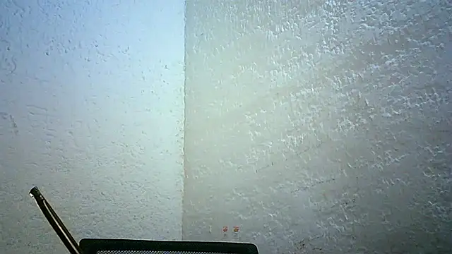 Bellabeltrann online show from 11/30/25, 11:42