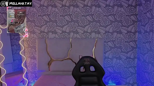 Snapshot of Mellani_tay chatting on 09/21/25, 03:19 Mellani tay online show from 09/21/25, 03:19