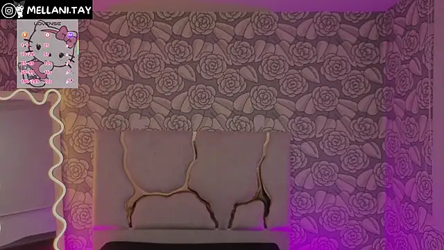 Snapshot of Mellani_tay chatting on 11/10/25, 03:16 Mellani tay online show from 11/10/25, 03:16