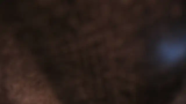 AliceHanz online show from 01/08/26, 04:26