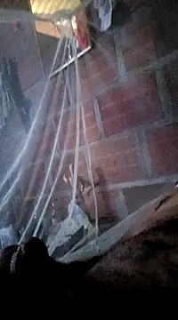 Snapshot of Janle_19c chatting on 01/07/25, 07:06 Janle 19c online show from 01/07/25, 07:06