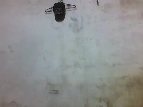 Snapshot of Leopardogonza chatting on 10/20/25, 11:38 Leopardogonza online show from 10/20/25, 11:38