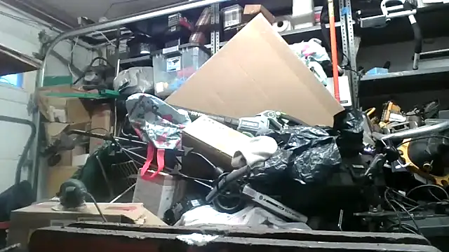 tongueispowerr6d9 online show from 12/10/24, 08:38