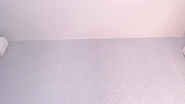 Snapshot of CERRUTI_model chatting on 03/21/25, 09:56 CERRUTI model online show from 03/21/25, 09:56