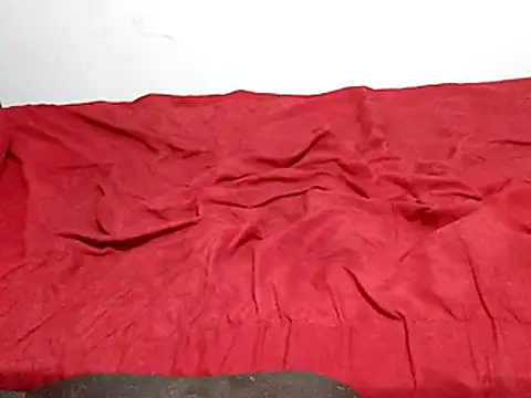 Snapshot of wel9238 chatting on 03/01/26, 01:51 wel9238 online show from 03/01/26, 01:51