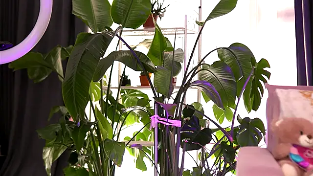 Snapshot of EmilyRaymont chatting on 09/21/25, 05:20 EmilyRaymont online show from 09/21/25, 05:20