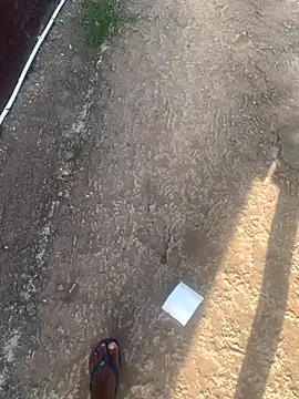 DManL online show from 11/13/25, 04:44