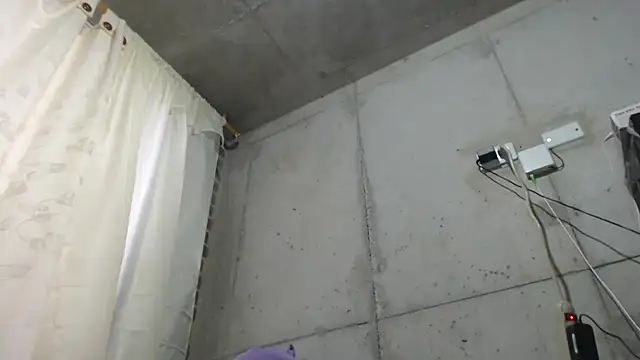 v violeta online show from 03/24/26, 11:04