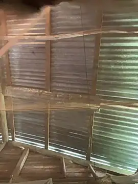 phola12 online show from 02/27/25, 07:47