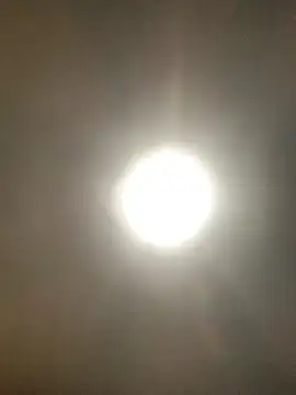 valleyoneofakind online show from 10/20/25, 03:34