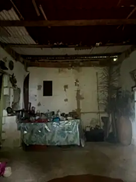 Snapshot of amy_gata chatting on 11/15/25, 10:12 amy gata online show from 11/15/25, 10:12