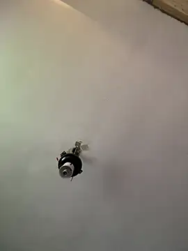 Brando2585 online show from 04/03/26, 01:42