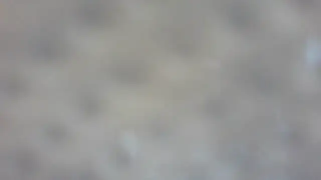 Snapshot of RoseRed69 chatting on 10/25/25, 03:14 RoseRed69 online show from 10/25/25, 03:14