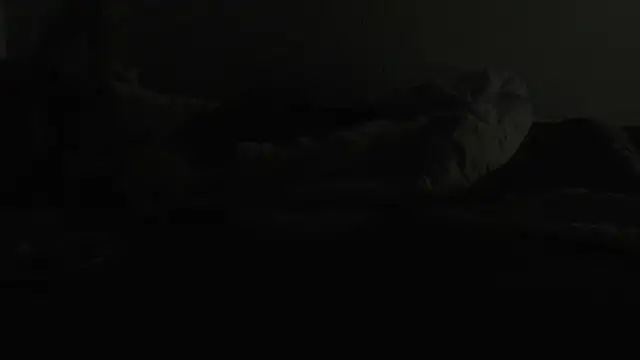 flexingplexico online show from 01/06/25, 07:13