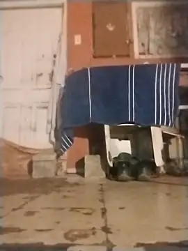 Snapshot of brownfeet chatting on 01/18/25, 04:59 brownfeet online show from 01/18/25, 04:59