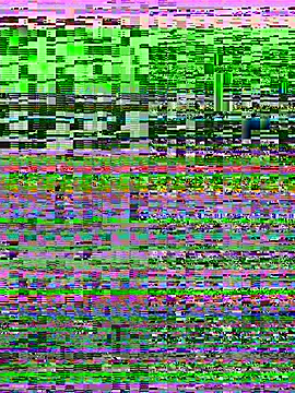 Rose berry online show from 03/16/26, 06:39