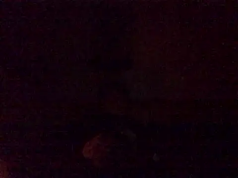 Snapshot of DragonPink chatting on 12/24/24, 12:11 DragonPink online show from 12/24/24, 12:11