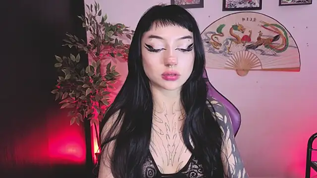 catipetite online show from 06/24/26, 08:30