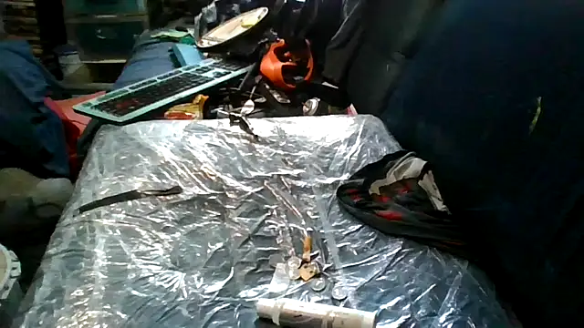 robeaulieu02 online show from 11/24/25, 05:12