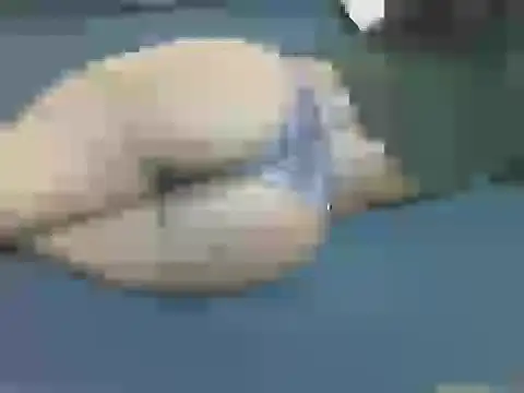 lella-0 online show from 10/16/25, 09:38