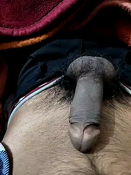 PAWARXX 0 online show from 01/09/25, 05:22