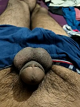 PAWARXX 0 online show from 10/14/25, 06:20