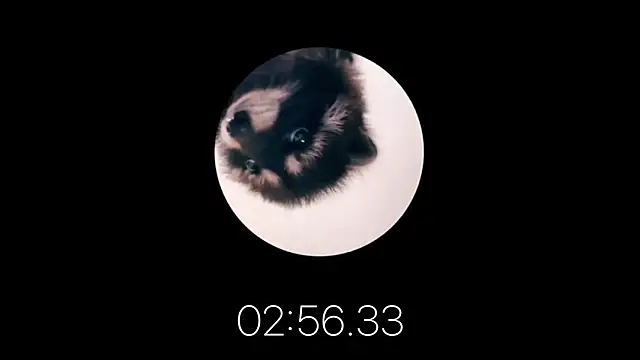 les mod sc2 online show from 02/12/25, 01:59