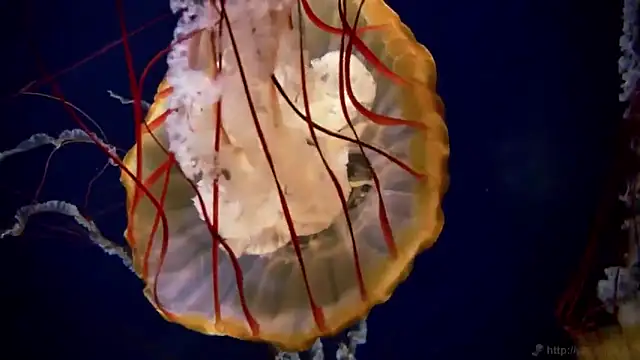 Snapshot of streamy_test12 chatting on 11/18/25, 03:27 streamy test12 online show from 11/18/25, 03:27