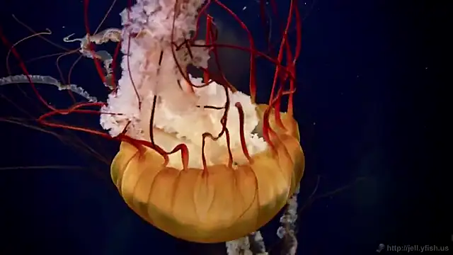 Snapshot of streamy_test12 chatting on 12/03/25, 02:48 streamy test12 online show from 12/03/25, 02:48