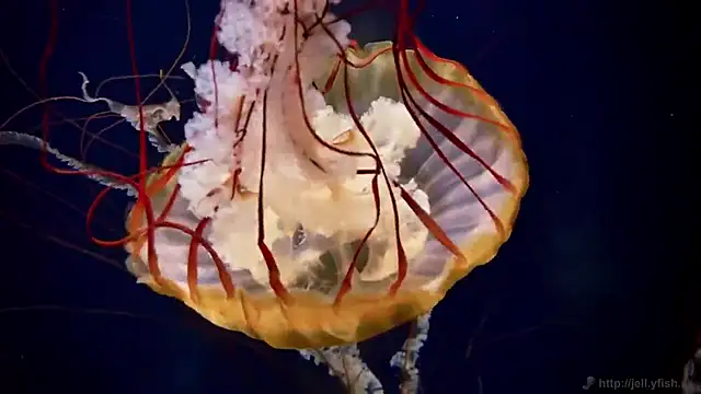 Snapshot of streamy_test12 chatting on 12/04/25, 01:53 streamy test12 online show from 12/04/25, 01:53