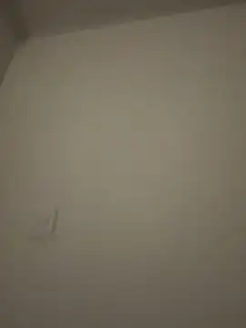 Amber Rush  online show from 02/03/26, 03:48