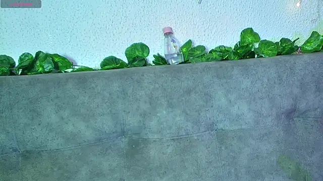 ari kat online show from 12/22/24, 06:28