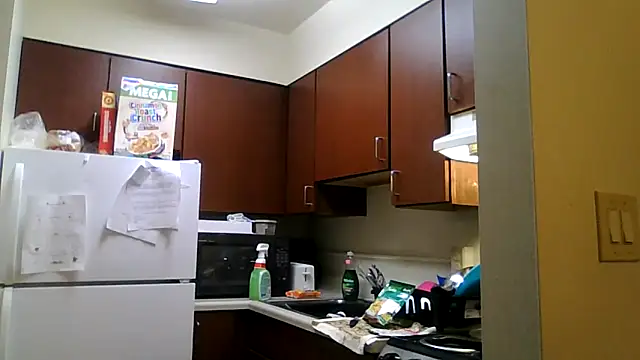 Snapshot of DreamvilleINC chatting on 11/02/25, 11:51 DreamvilleINC online show from 11/02/25, 11:51