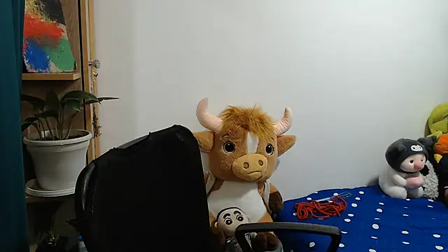 SWEETT CORY online show from 06/29/26, 03:24