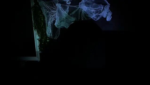 Snapshot of newjeff chatting on 11/05/25, 06:08 newjeff online show from 11/05/25, 06:08