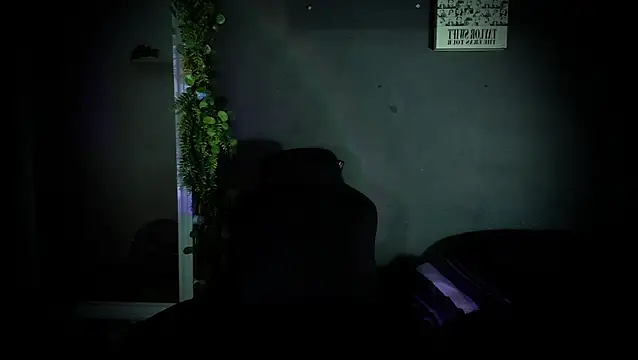 Snapshot of newjeff chatting on 11/18/25, 11:25 newjeff online show from 11/18/25, 11:25