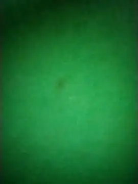 Zane Natha online show from 11/10/25, 12:53